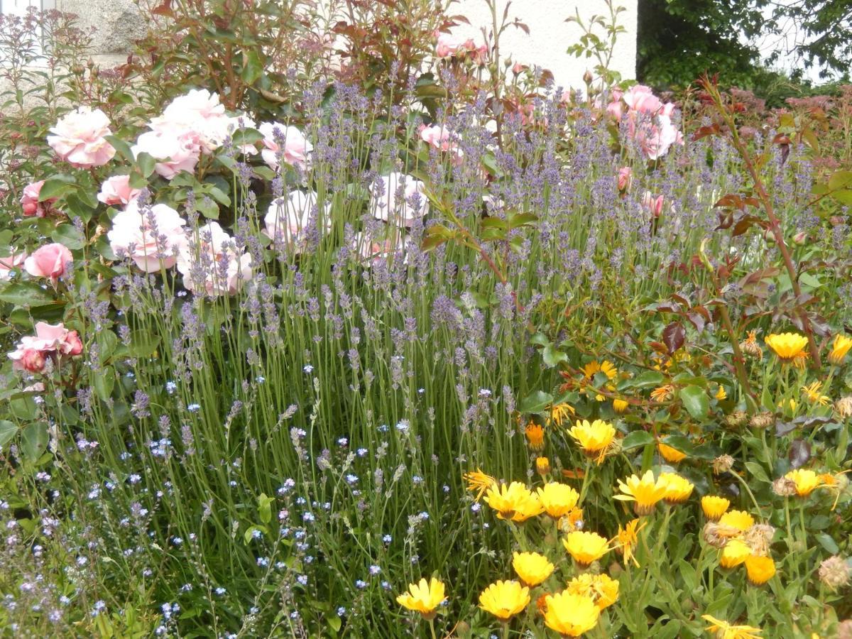 Plouvorn Le Tregonnec, Pres De Morlaix, Roscoff Bed & Breakfast エクステリア 写真