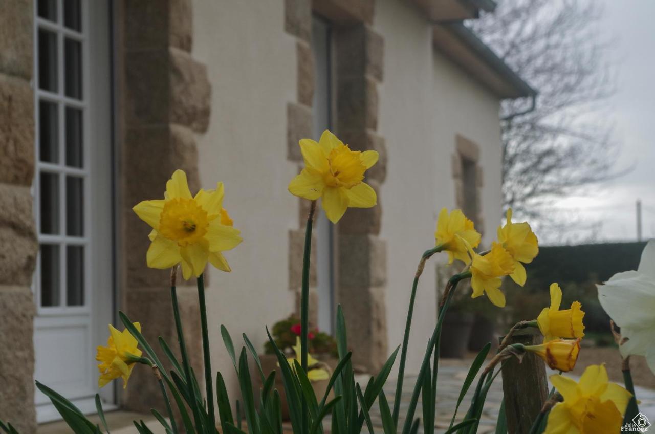 Plouvorn Le Tregonnec, Pres De Morlaix, Roscoff Bed & Breakfast エクステリア 写真